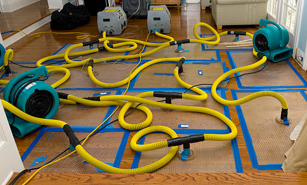 Professional Water Damage Restoration technician working in Grasston, MN